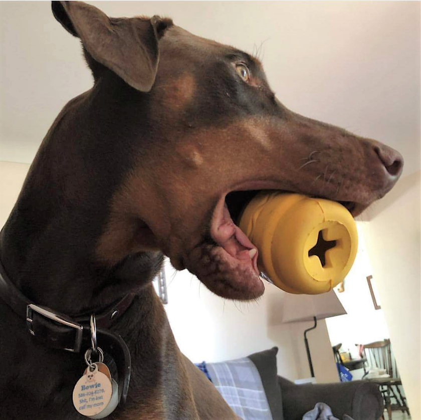 SP MKB Bacon Double Cheeseburger - Dog Chew Toy - Large