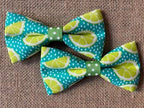 Limes Margarita Time Standard Size