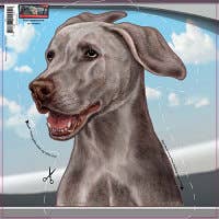 Weimaraner - Car Window Decal