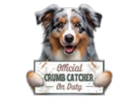 Australian Shepherd Chip Clip