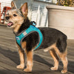 Reflective Lightweight Breathable Step in Dog Harness