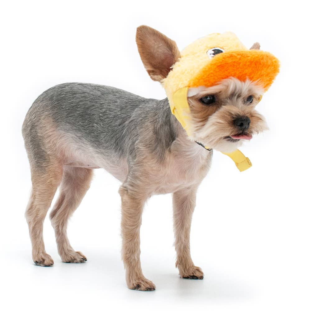 Duck Dog or Cat Baseball Costume Hat