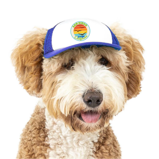 Trucker Hat for Dogs/Cats- Seagull