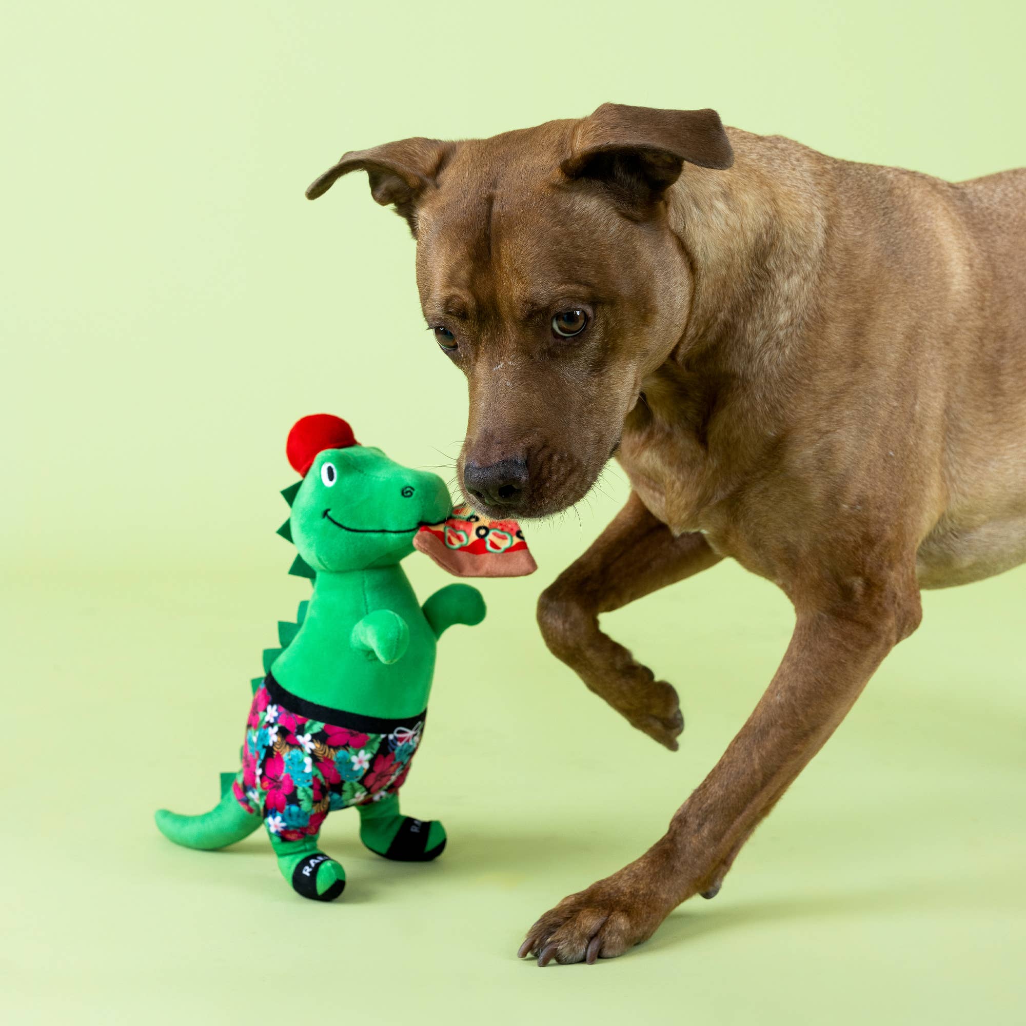 Dog Toy Dinosaur Pizzasaurus Rex plush Toy