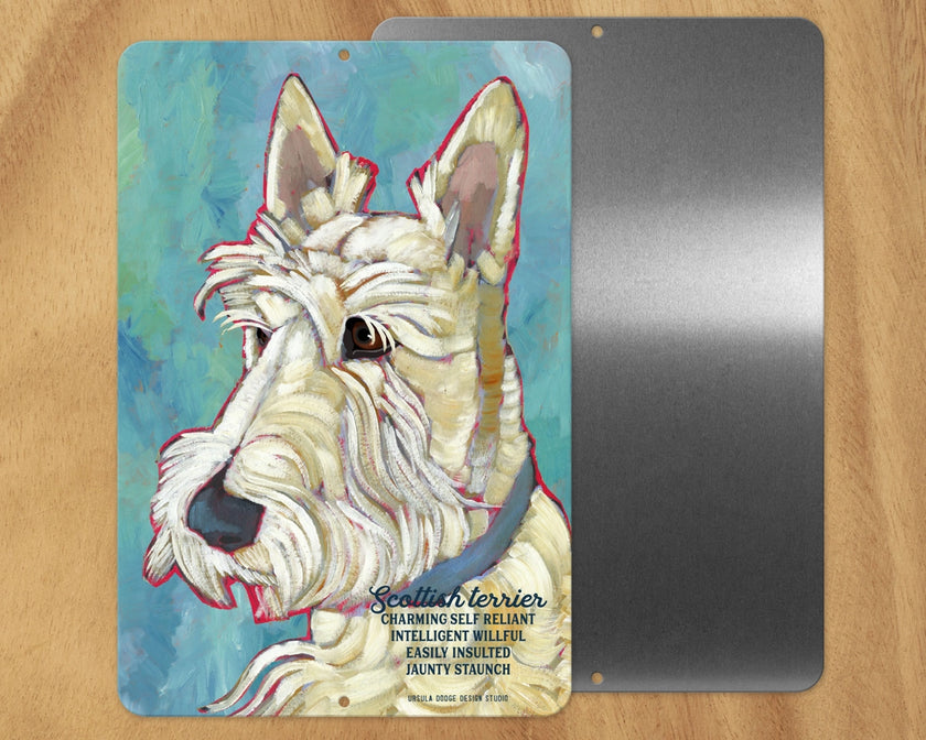 Scottish Terrier (White) -UD Metal Sign