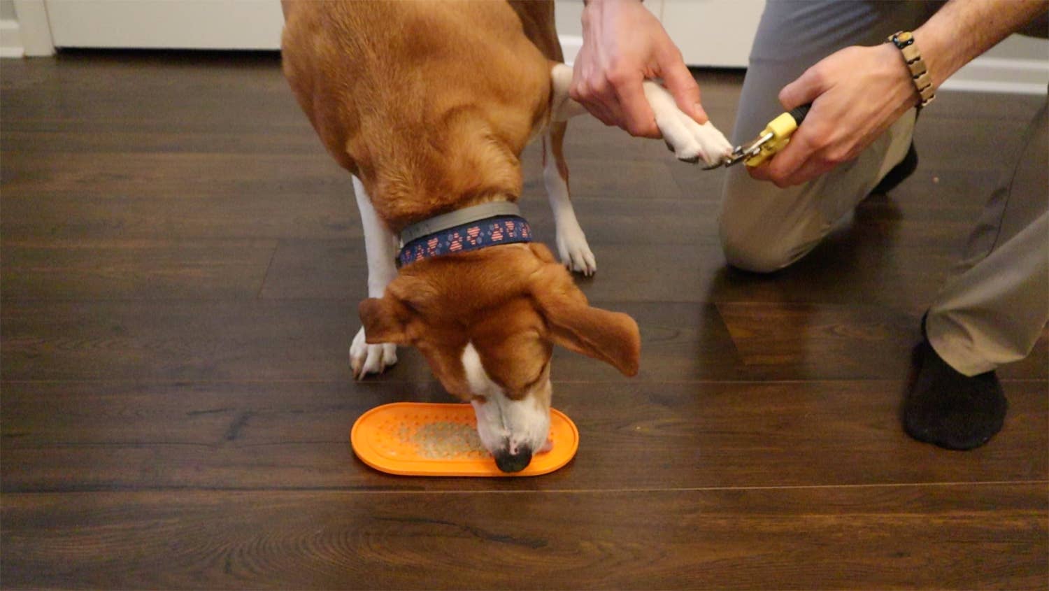Oval Silicone Lick Pad with Suction Cups