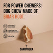 Dog Chew Made of Briar Root.