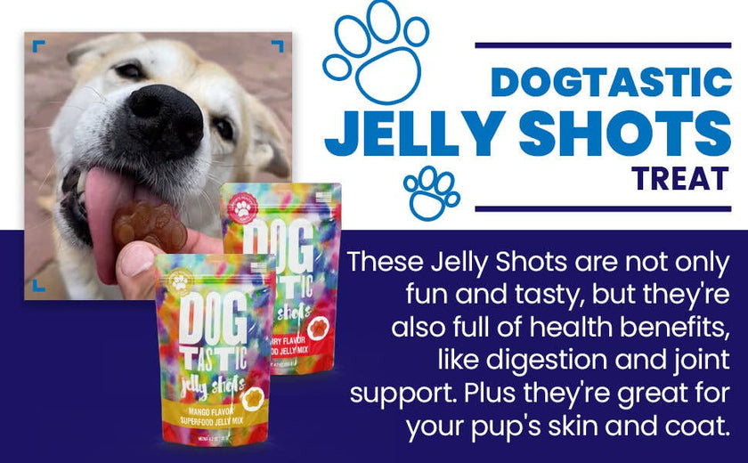 SP Dogtastic Jelly Shots Silicone Mold - Bone Shape