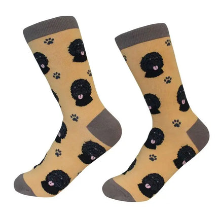 Labradoodle Black Dog Socks Unisex