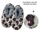 Labrador, Black Slippers