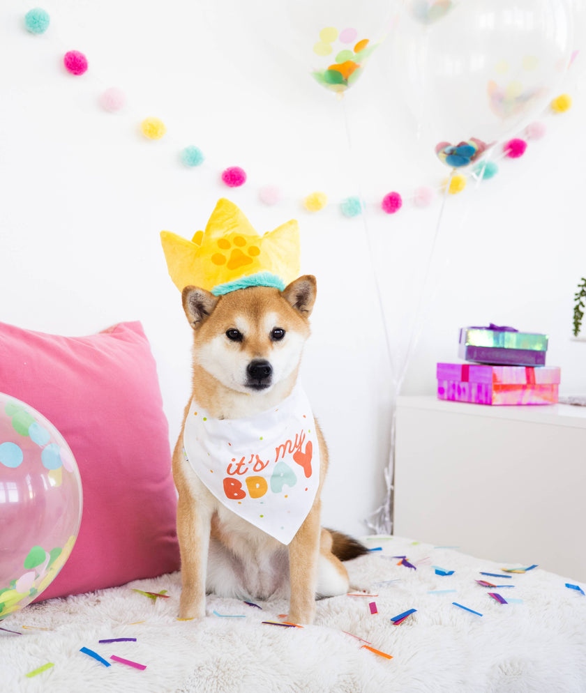 Pearhead Happy Barkday Pet M/L Bandana Hat Set