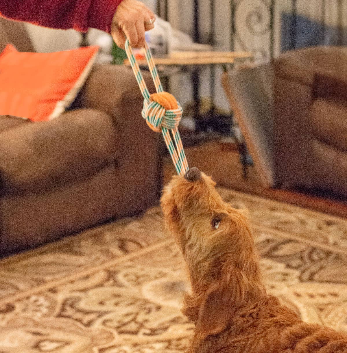 ThoozyPet Figure 8 Knot Ball Rope Dog Toy Blue / Red 11.5