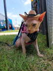 Hat for Cat or Dog Cowboy Pet Hat