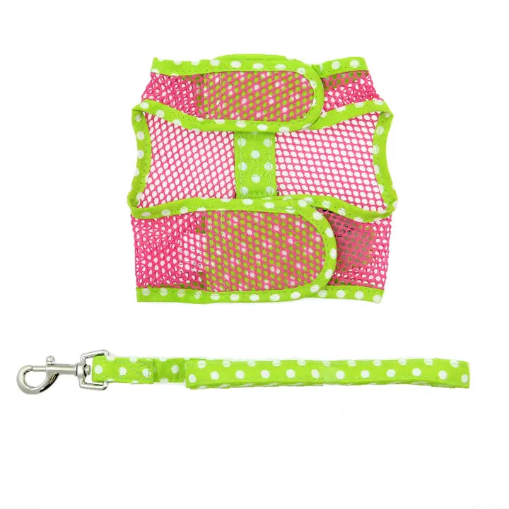 Cool Mesh Dog Harness & Lead - Frog Polka Dot