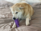 Fish Bone Nylon Dog Toy for Aggressive Chewers | USA Made | SodaPup: Brown