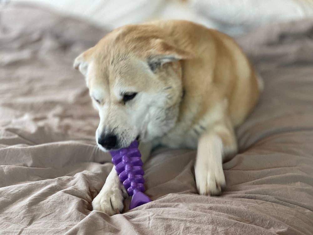 Fish Bone Nylon Dog Toy for Aggressive Chewers | USA Made | SodaPup: Brown