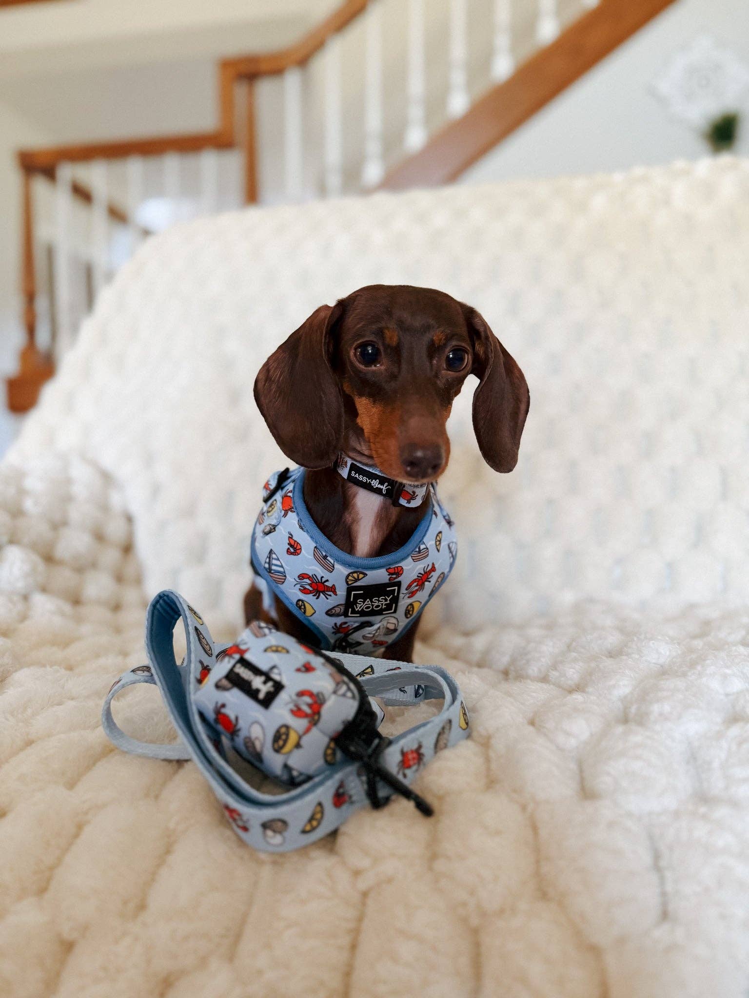 Dog Waste Bag Holder - Coastal Cuties