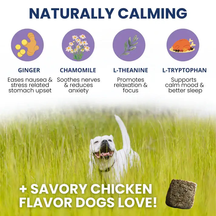 Dog Treat Under the Weather Calming Soft Chew 60ct