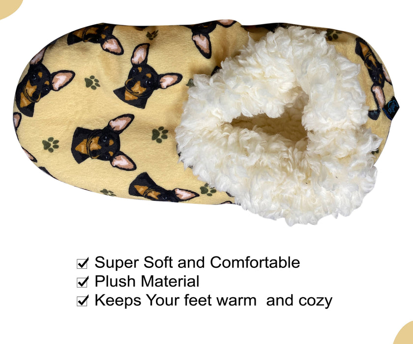 Chihuahua, Black Slippers