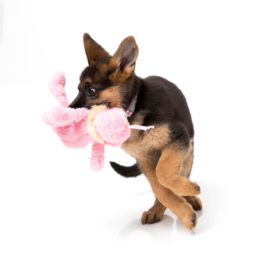 FuzzYard Dog Toy Scratchette Pink Flea Large