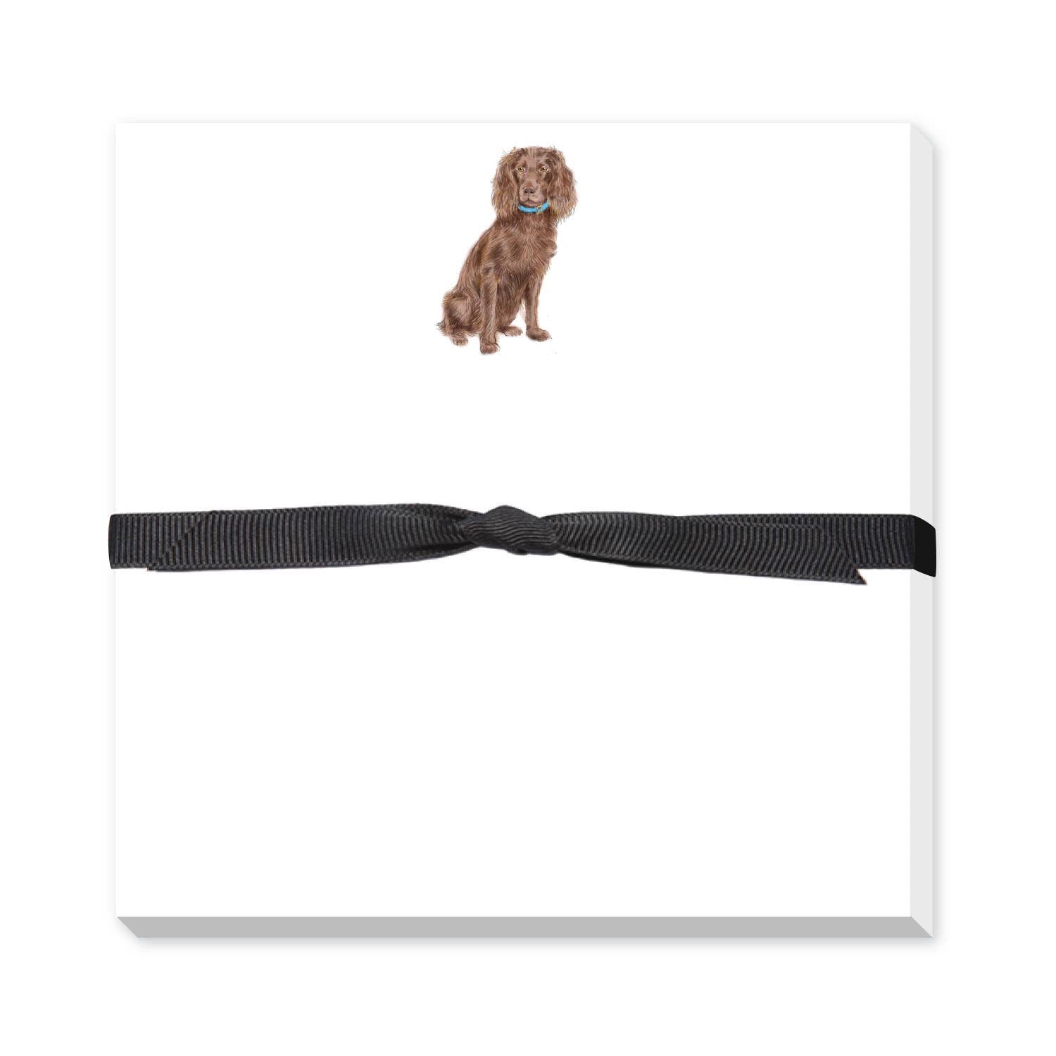 Boykin Spaniel Memo Notepad