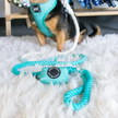 Dog Waste Bag Holder Wag Your Teal With Clasp