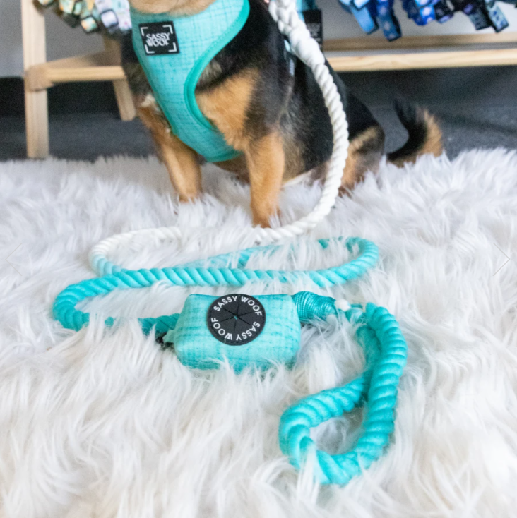 Dog Waste Bag Holder Wag Your Teal With Clasp