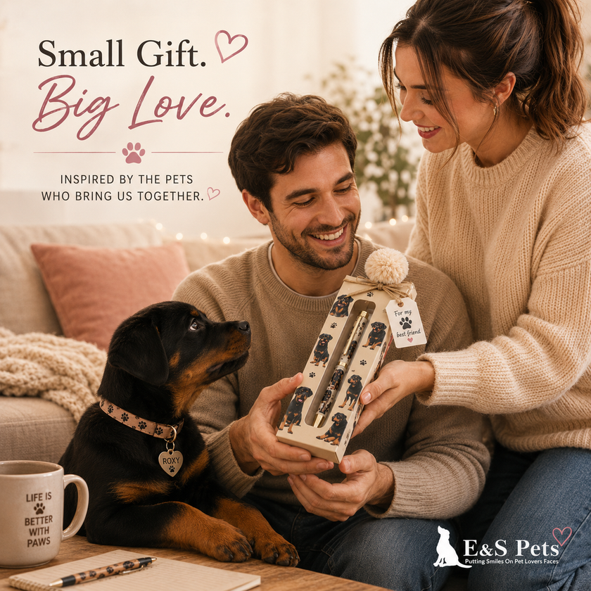 Boston Terrier Teal Pet Lover Ballpoint Pen