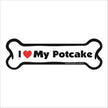 Potcake Bone Magnet