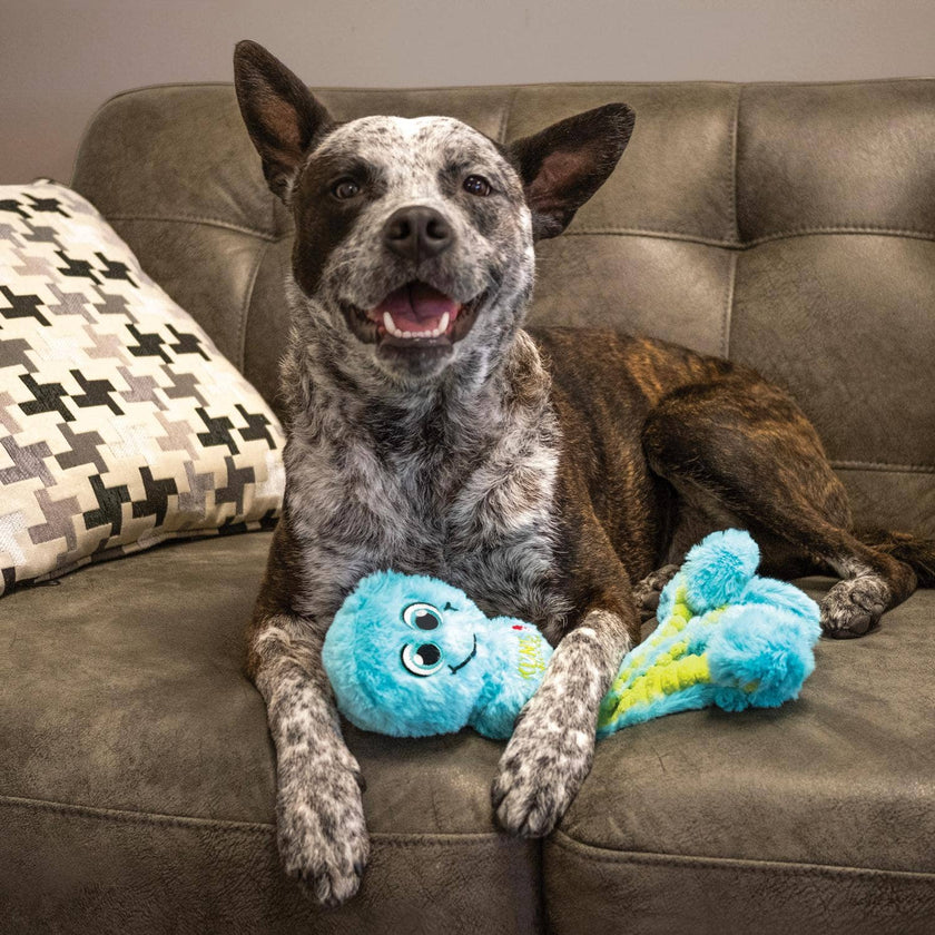 Wubba Octopus Dog Tug Toy Assorted Small
