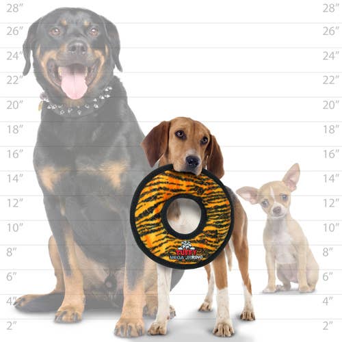 Tuffy Mega Jr Ring Tiger, Durable, Tough, Squeaky Dog Toy