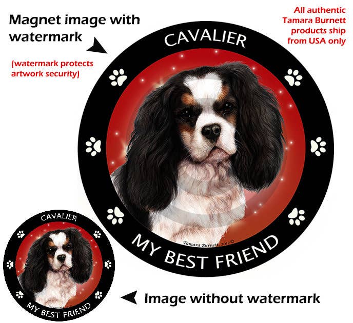 Cavalier King Charles Tri Color My Best Friend Magnet
