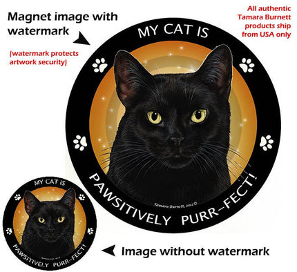 Black Cat My Best Friend Circular Magnet