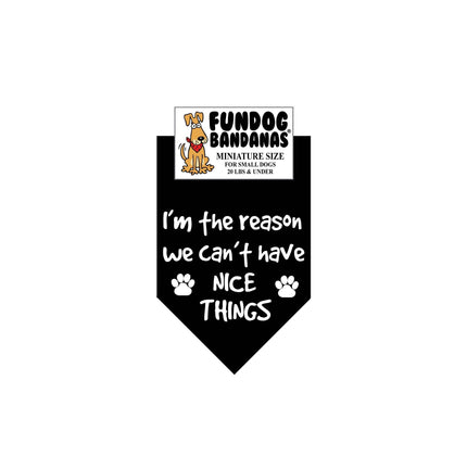 I'm the reason we can't have NICE THINGS