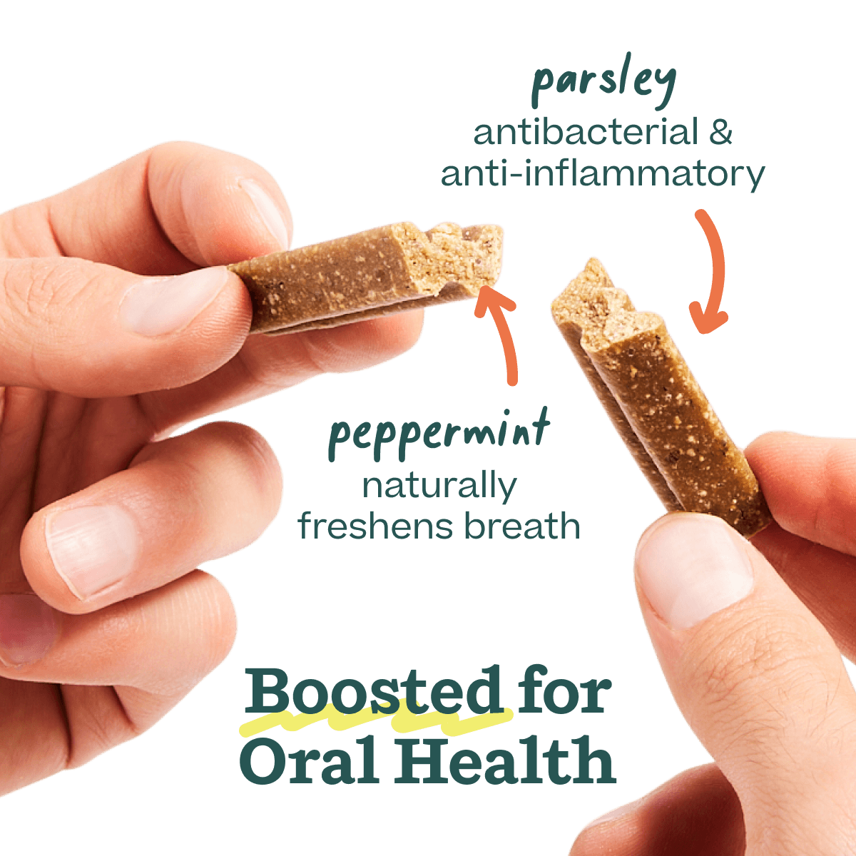 Dog Treat Chicken Bite n' Brush Dental Refills