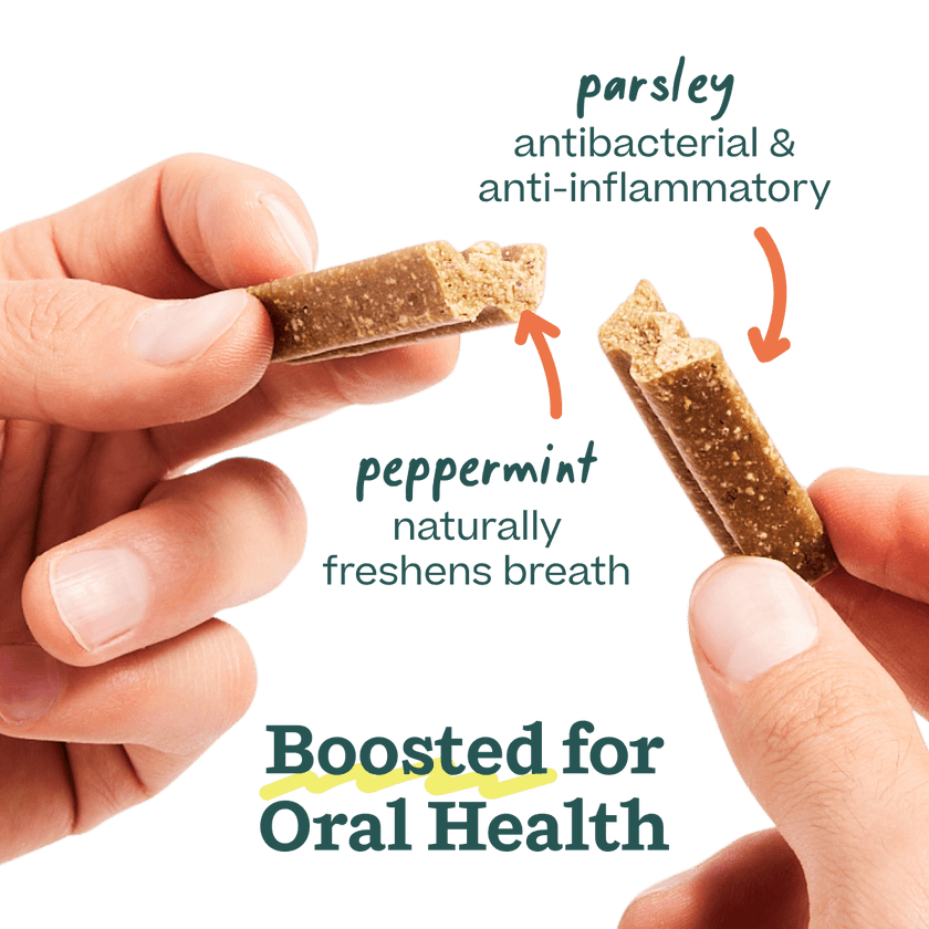 Dog Treat Chicken Bite n' Brush Dental Refills