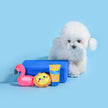 Dog Toy Flsmingo, Sun and Sunscreen Beach Daze Plush Toy Set