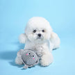 Dog Toy Stingray Floating Ocean Pals Ball Toy