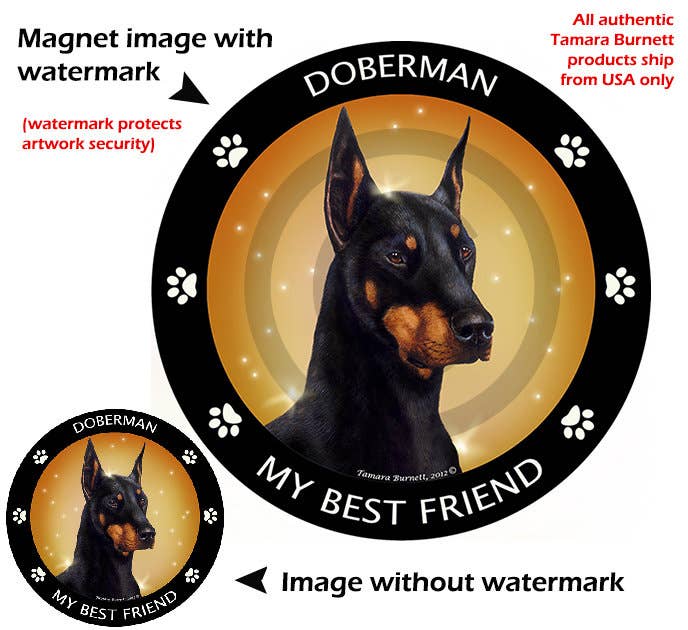 Doberman Black and Tan Cropped My Best Friend Magnet