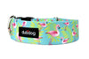Flamingos Dog Collar