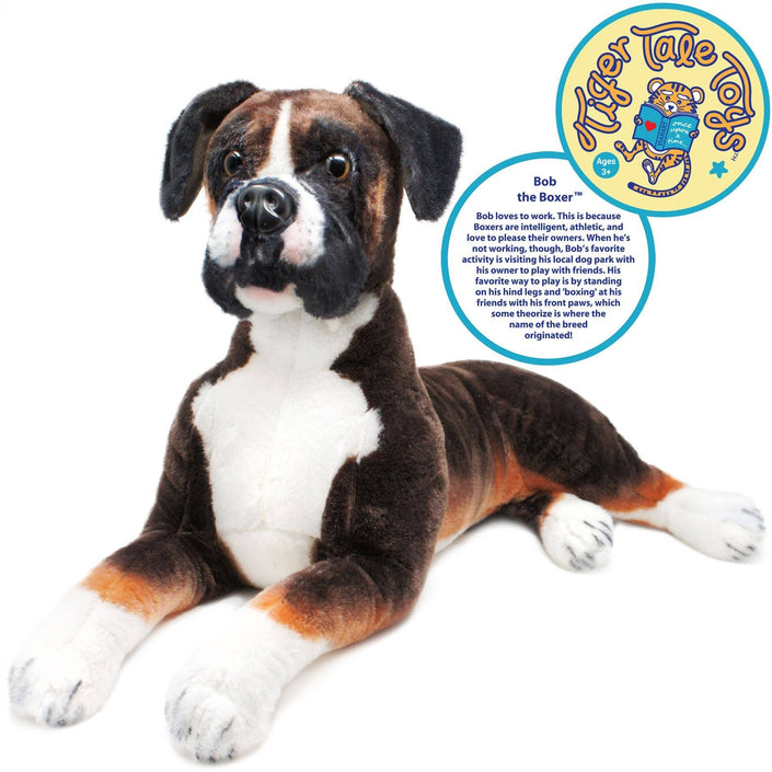 Boxer 