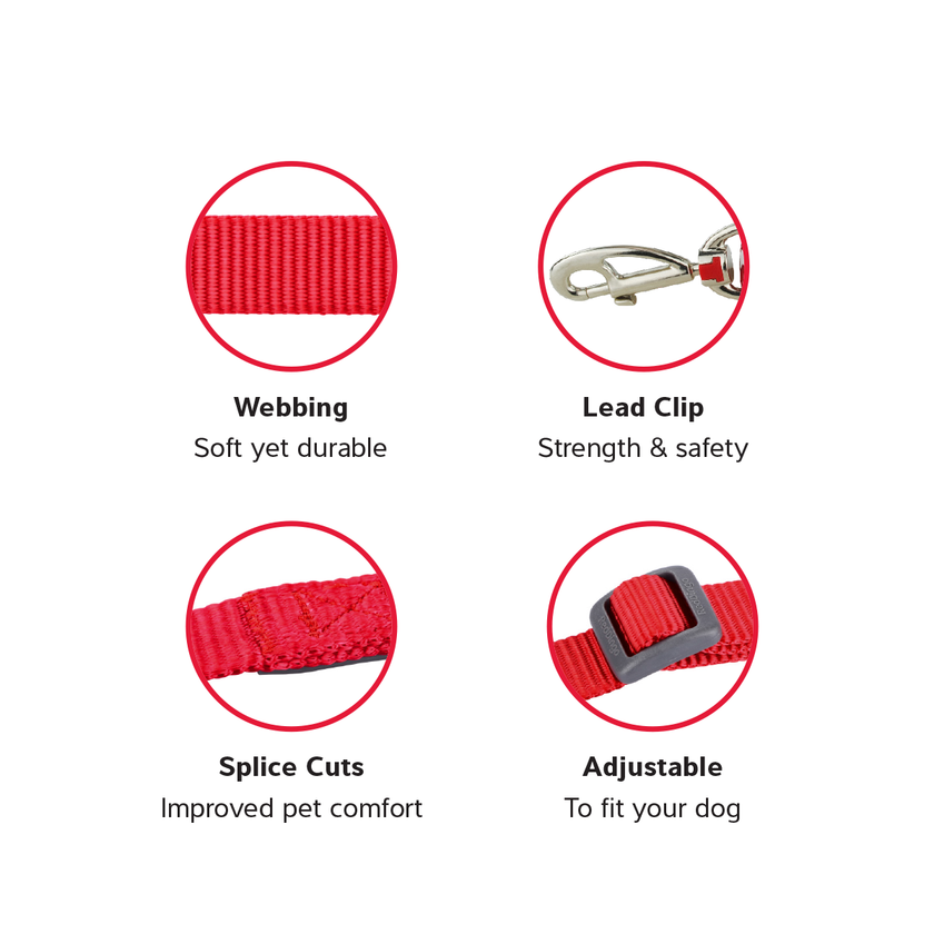 Adjustable Dog Leash Reflective Bones Black