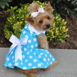 Blue Polka Dot Dog Dress w/ Matching Leash