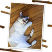 Meowijuana® Silvervine Sticks