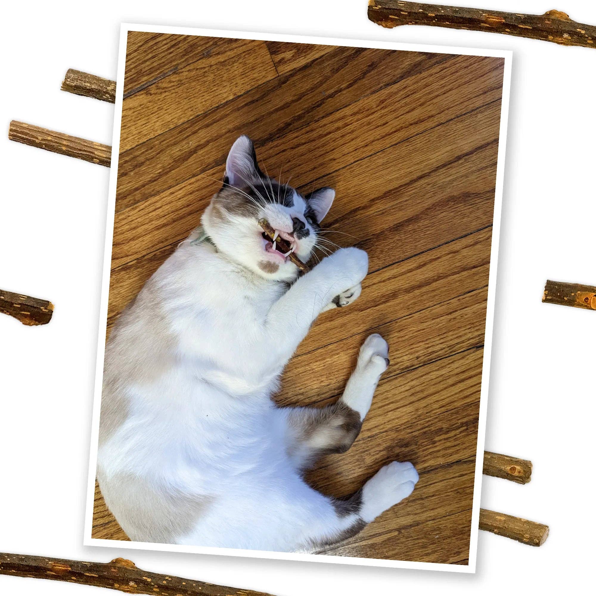 Meowijuana® Silvervine Sticks