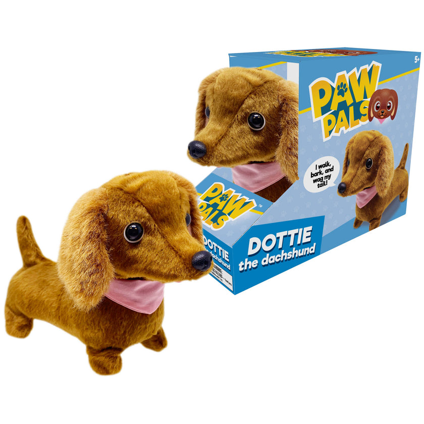 Westminster Dottie the Walking Dachshund Dog