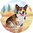 Corgi Car coaster