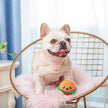 Dog Toy Hamburger Ball Food Party Floating Toy