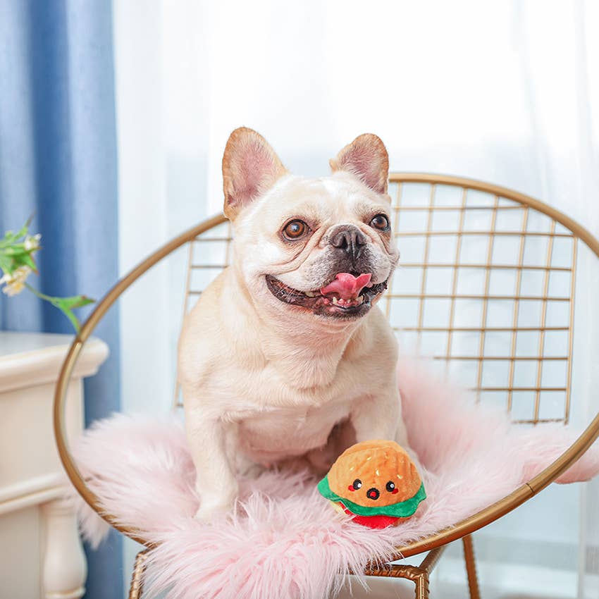 Dog Toy Hamburger Ball Food Party Floating Toy