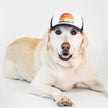 Trucker Hat for Dogs/Cats: Island Sunset Black/XS
